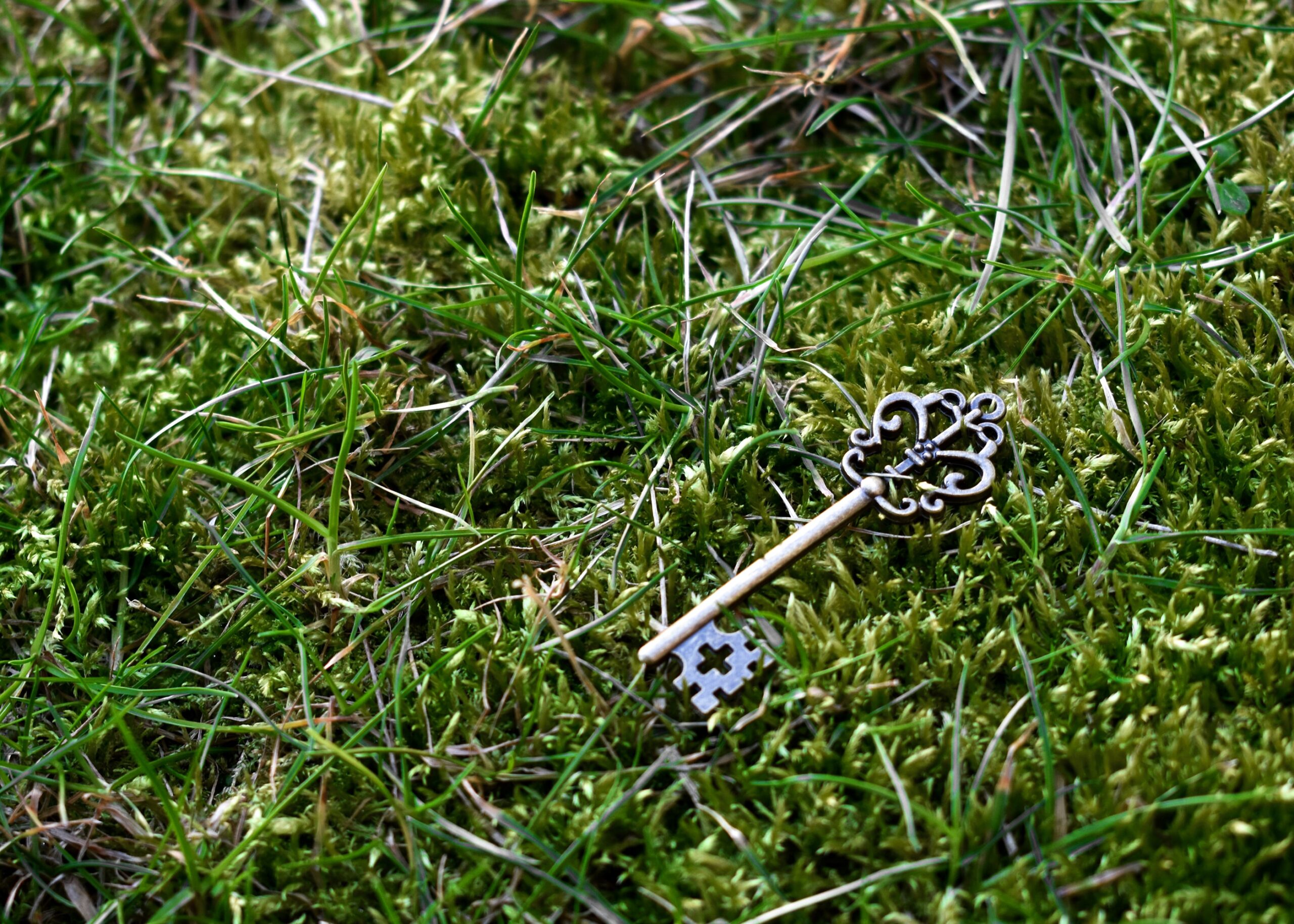 An ornate silver key on grass